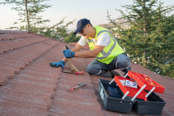 Roof Gutter Cleaning in Newton, NJ
