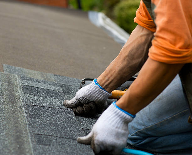 Best Residential Roofing Contractor  in Newton, NJ