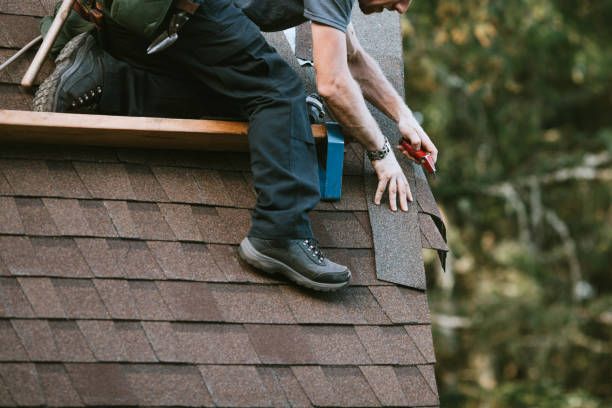 Best Local Roofing Companies  in Newton, NJ